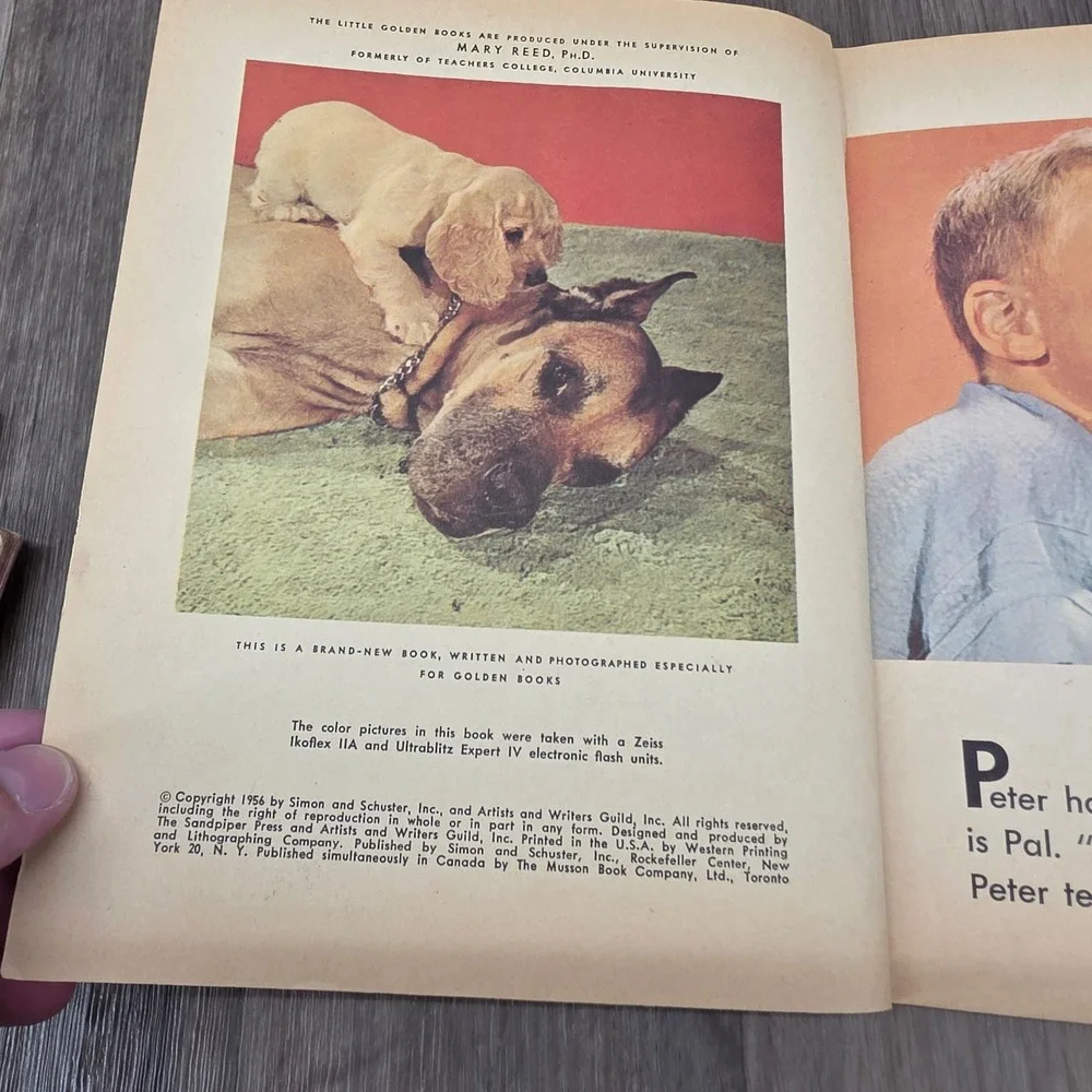 Lot of 5 Vintage Little Golden Books Animal Themed 1940s-1960s Sailor Dog Bunny